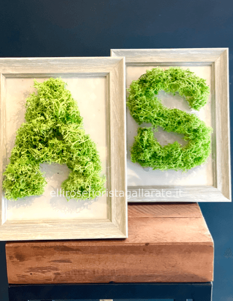 quadretti con lettere stabilizzati