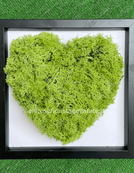 quadro a cuore con muschio stabilizzato