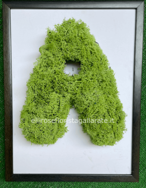 lettere di muschio stabilizzato