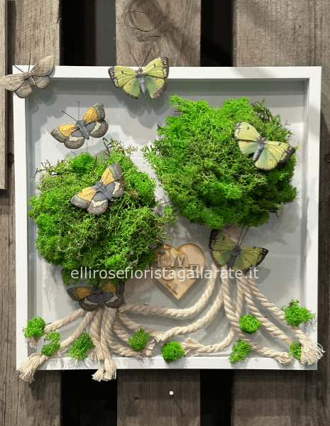 quadri con muscio stabilizzato