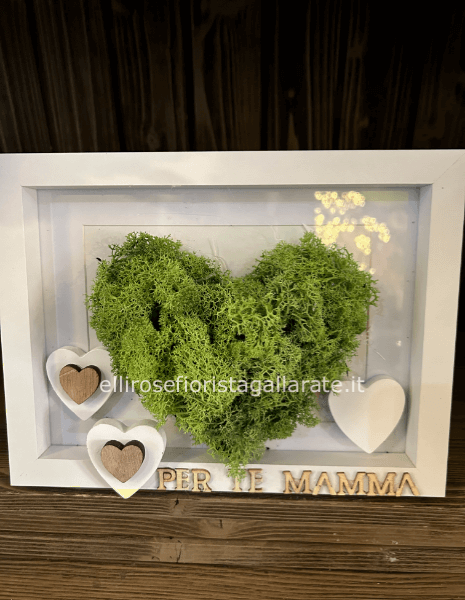 quadro con muschio stabilizzato