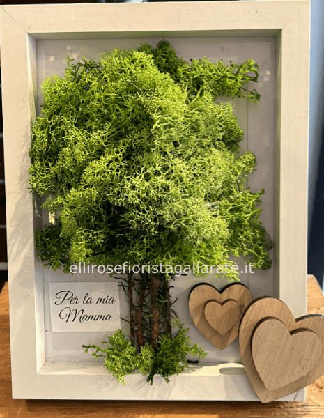 quadro con muschio stabilizzato