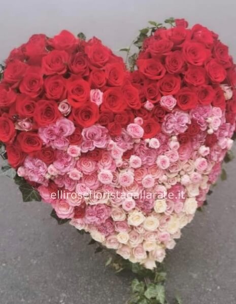 cuore di rose rosse, rosa e fucsia 160 steli , diametro della composizione 70 cm